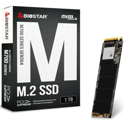 SSD M.2 PCI-E 1000Gb Biostar M760 Series ( SA122PME3T )