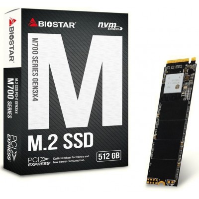 SSD M.2 PCI-E 512Gb Biostar M760 SA122PME35