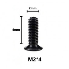 Болт M2 x 4.0 мм (10 шт) 
