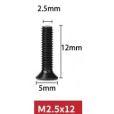 Болт M2.5 x 12.0 мм (10 шт) 